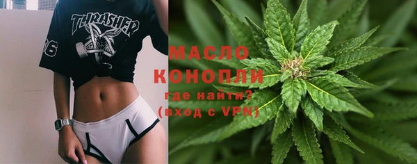 молекула духа Балахна